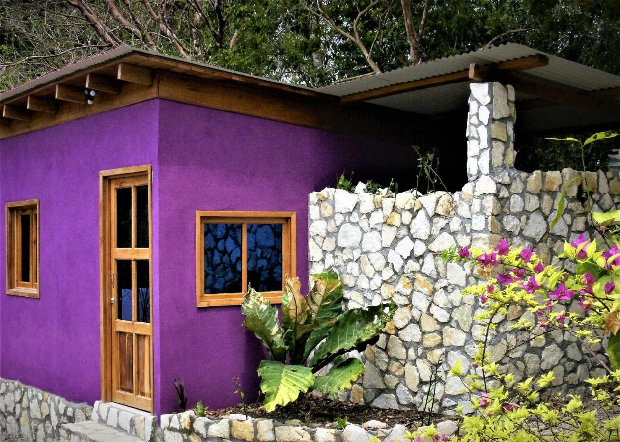 Alice Guesthouse El Remate Exteriör bild